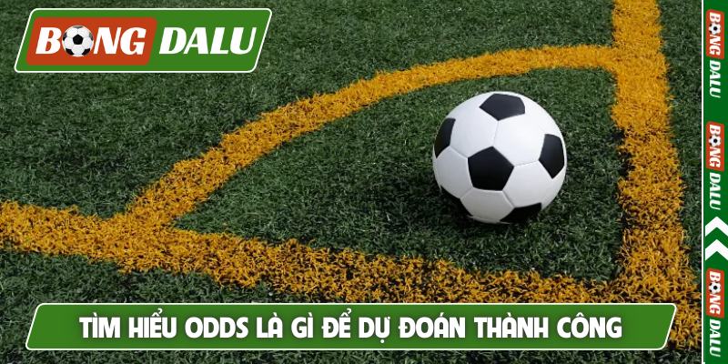 Tìm hiểu Odds là gì để dự đoán thành công