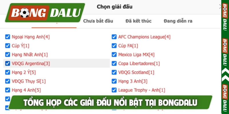 Tổng hợp các giải đấu nổi bật tại Bongdalu